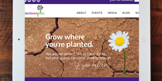 Envision Lead Grow Full Site Design on Wordpress/Avada